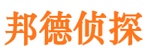 振安市侦探公司